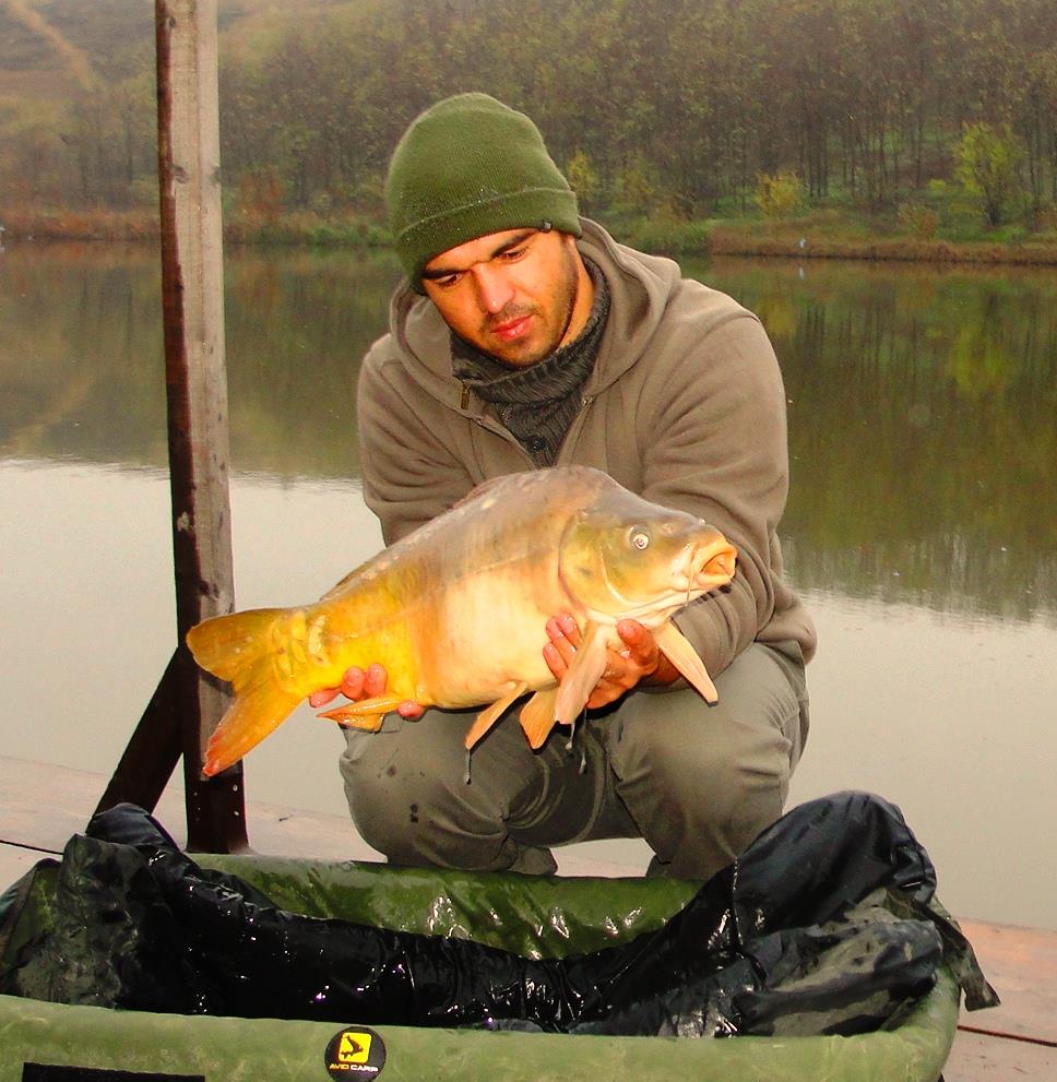 Magura 9 23 - 23 nov. - 11.JPG